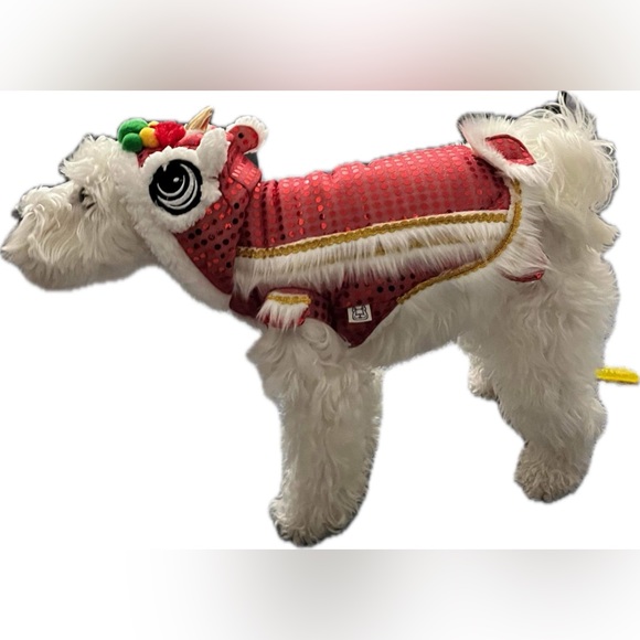 LION DANCE CAT/DOG COSTUME - Picture 3 of 3